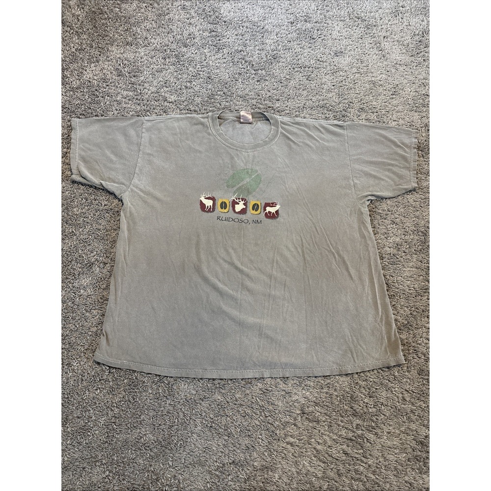 Vintage Graphic Tee T Shirt Mens 2XL Souvenir Shirt Ruidson New Mexico Gray